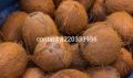 2kg Soundar Coconut Natural Hard Whole Brown Pollachi coconut