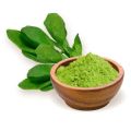 Green dehydrated spinach leaves powder