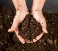 organic fertilizers and manure