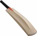 Brown Kashmir India Willow kashmiri willow wooden cricket bat