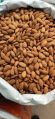 California Almond Nuts, Packing Size: 25 Kg