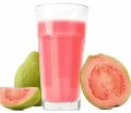Liquid pink concentrate guava