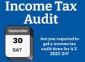 income tax audit service
