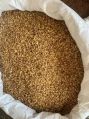 Mexican Golden whole grain oats