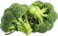 natural fresh origin broccoli