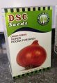 POONA FURSANGI Onion seeds