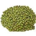 Natural Dark Green green mung beans