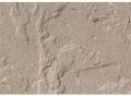 11 X 22 Inch Dholpur Beige Sandstone Slab