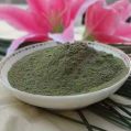 Natural Organic green seaweed extract powder