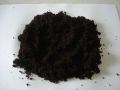 Black Coir Pith Powder