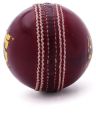 leather cricket balls