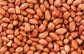 Organic Brown peanut seeds
