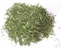 Organic Green Superb Natural Dry Leaves dry stevia leaves