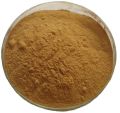 Coleus Herbal Extract Powder
