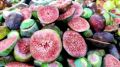Red frozen anjeer
