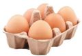 Light Brown country chicken eggs
