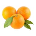 Round Organic fresh orange