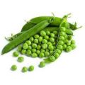 Green Round Fresh Peas
