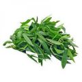 Organic fresh ponnanganni spinach