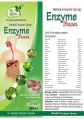 Herbal Enzyme Power Syrup