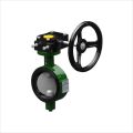 Gear Operated SS-304 Butterfly Valves