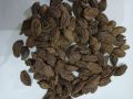 Common Solid Raw Black Cardamom Seeds