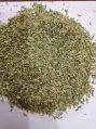 Common Solid Raw fennel seeds