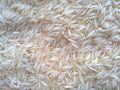 mogra basmati rice