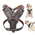 Multicolor Leather Dog Harness