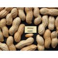 raw organic peanut kernels