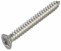 Silver Round Stainless Steel Screw