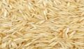Natural Natural White Solid basmati rice