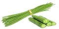 Green Natural fresh drumsticks