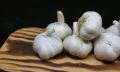 Organic Creamy fresh garlic