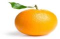Round Natural fresh orange