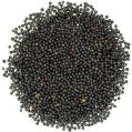 Common Whole black mustard seeds