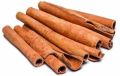 Common Brown cinnamon stick