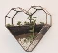 Heart Available in Many Colors wall mounted glass terrarium