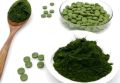 Suspension In Water Capsules Powder Tablets green gold spirulina