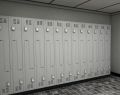 Stainless Steel Polished hospital lockers