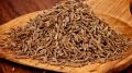 Natural Raw Brown Solid cumin seeds
