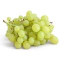 Natural Green fresh grapes