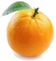 Organic Round fresh orange