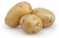 Natural Brown fresh potato