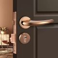 Iron SSF Antique and Rose Gold Proto rose door cylinder lock
