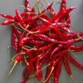 dry red chilli