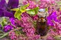 Clary Sage Natural Blend Oil