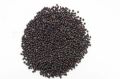 Common Solid NAMOX black mustard seeds