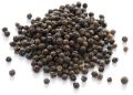 Common NAMOX black pepper seeds