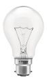 Incandescent Bulb 230/250 V 100 W Clear Lamp